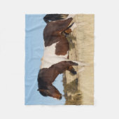 Wild Pferd, Steens Mountains Fleecedecke (Vorderseite)