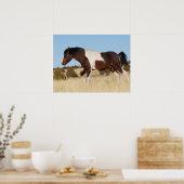 Wild Pferd, Steens Mountains Poster (Küche)