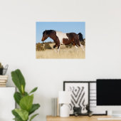 Wild Pferd, Steens Mountains Poster (Heimbüro)