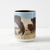 Wild Pferd, Steens Mountains Tasse (Zentrum)