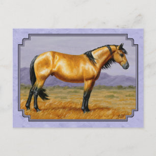 Wild Pferde Buckskin Hengst Lila Postkarte