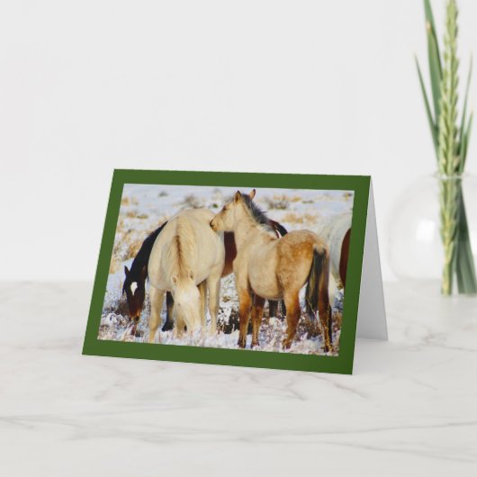 WILD PFERDE DER UTAH NATIVITY CHRISTMAS Card Karte (Vorderseite)