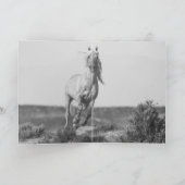 Wild Pferde Grußkarte - Coronas Sommerportrait Karte (Innenseite)