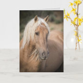 Wild Pferde Grußkarte - Coronas Sommerportrait Karte (Gelbe Blume)