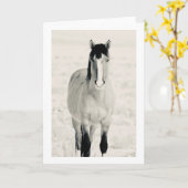 WILD-PFERDE VON ONAQUI-FALTER Grußkarte Karte (Gelbe Blume)