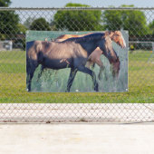 WILD PFERDE VON UTAH Banner MIT BAUMETEN (Insitu)