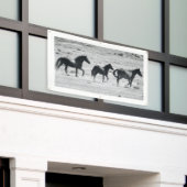 WILD PFERDE VON UTAH Banner MIT BAUMETEN (Äußeres Gebäude)