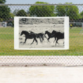 WILD PFERDE VON UTAH BANNER MIT WAHLMASSNAHMEN (Insitu)