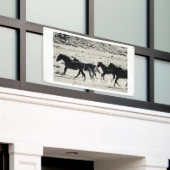 WILD PFERDE VON UTAH BANNER MIT WAHLMASSNAHMEN (Äußeres Gebäude)