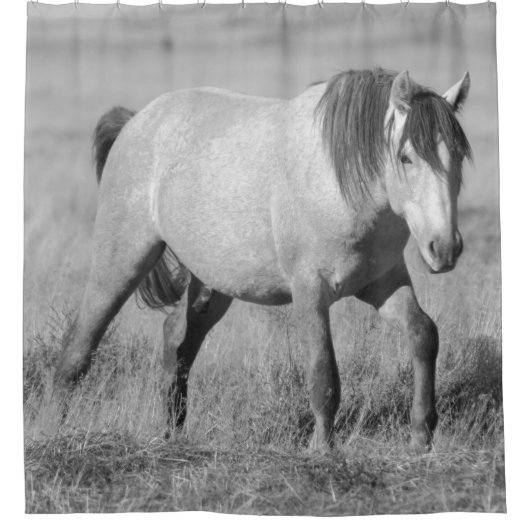 WILD PFERDE VON UTAH GRAY STALLION SHOWER CURTAIN DUSCHVORHANG (Vorderseite)