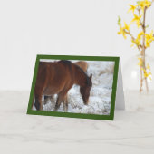 WILD PFERDE VON UTAH IN DER SCHNEEKARTE KARTE (Gelbe Blume)