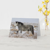 WILD PFERDE VON UTAH IN SCHNEE Grußkarte Karte (Gelbe Blume)