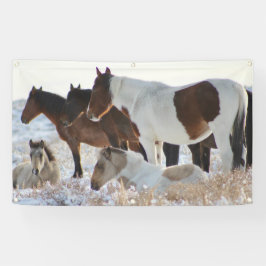 WILD PFERDE VON UTAH ONAQUI HERD BANNER