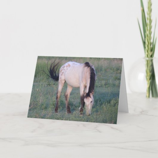 WILD PFERDE VON UTAH OURAY KARTE (Vorderseite)