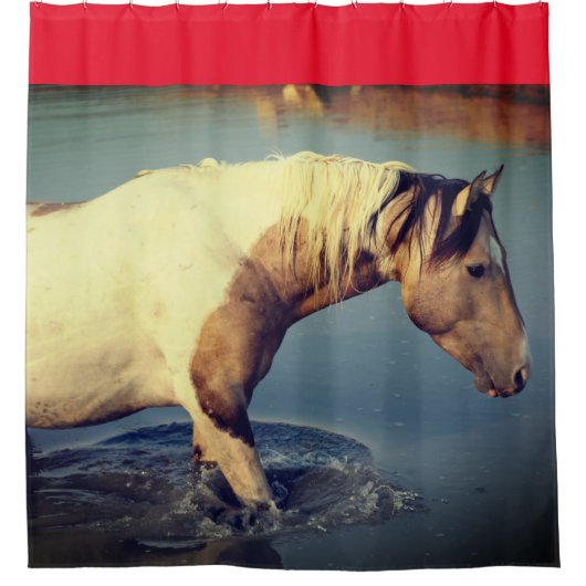 WILD PFERDE VON UTAH PINTO IN WASSER Duschvorhang (Vorderseite)