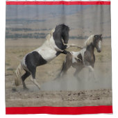 WILD PFERDE VON UTAH PINTO KAMPF SHOWER CURTAN DUSCHVORHANG (Vorderseite)