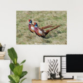 Wild Pheasant Brothers Poster (Heimbüro)
