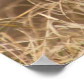 Wild Pheasant Poster (Ecke)