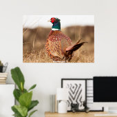 Wild Pheasant Poster (Heimbüro)
