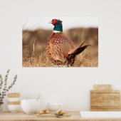 Wild Pheasant Poster (Küche)