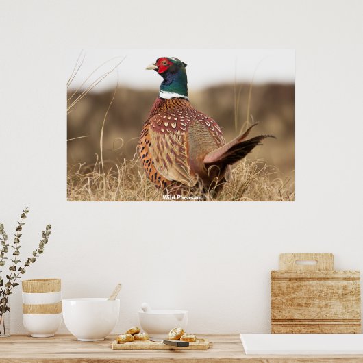 Wild Pheasant Poster (Küche)
