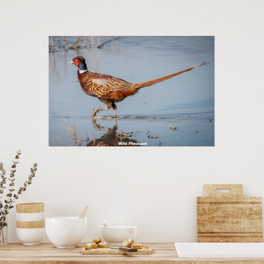 Wild Pheasant Poster (Küche)