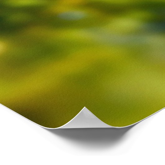 Wild Pheasant Poster (Ecke)