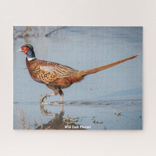 Wild Phesant Puzzle (Horizontal)