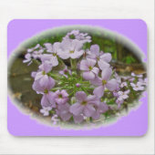 Wild Phlox Mousepad (Vorne)