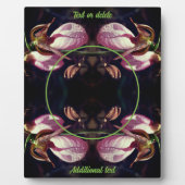 Wild Pink Lady Slipper Orchid Fügen Sie Ihr eigene Fotoplatte (Vorderseite)