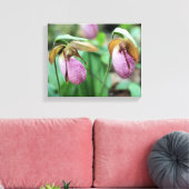 Wild Pink Lady Slipper Orchid Pair Leinwanddruck (Insitu (Wohnzimmer))