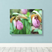 Wild Pink Lady Slipper Orchid Pair Leinwanddruck (Insitu (Holzboden))