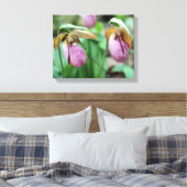 Wild Pink Lady Slipper Orchid Pair Leinwanddruck (Insitu (Schlafzimmer))