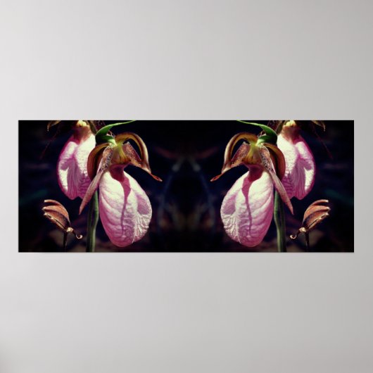 Wild Pink Lady Slipper Orchid Pair Mirror Poster (Vorne)