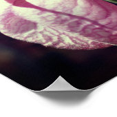 Wild Pink Lady Slipper Orchid Pair Nah Poster (Ecke)