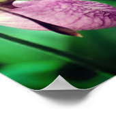 Wild Pink Lady Slipper Orchid Pair Poster (Ecke)