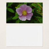 Wild Pink Rose (Vorne & Hinten)