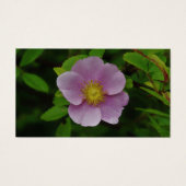 Wild Pink Rose (Vorderseite)