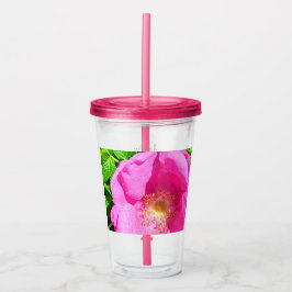 Wild Pink Rose Foto Vertrauen in die Lord Bible Ve Acryltrinkbecher