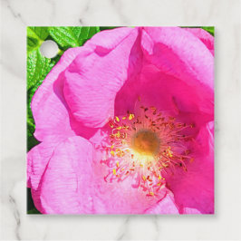 Wild Pink Rose Foto Vertrauen in die Lord Bible Ve Geschenkanhänger