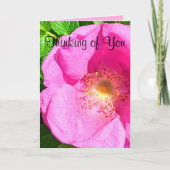 Wild Pink Rose Foto Vertrauen in die Lord Bible Ve Karte (Vorderseite)