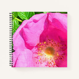 Wild Pink Rose Foto Vertrauen in die Lord Bible Ve Notizblock