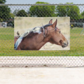 WILD PINTO MIT BIRD BANNER MIT GROMMET (Insitu)