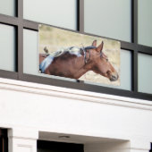 WILD PINTO MIT BIRD BANNER MIT GROMMET (Äußeres Gebäude)