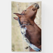 WILD PINTO MIT BIRD BANNER MIT GROMMET (Vertikal)