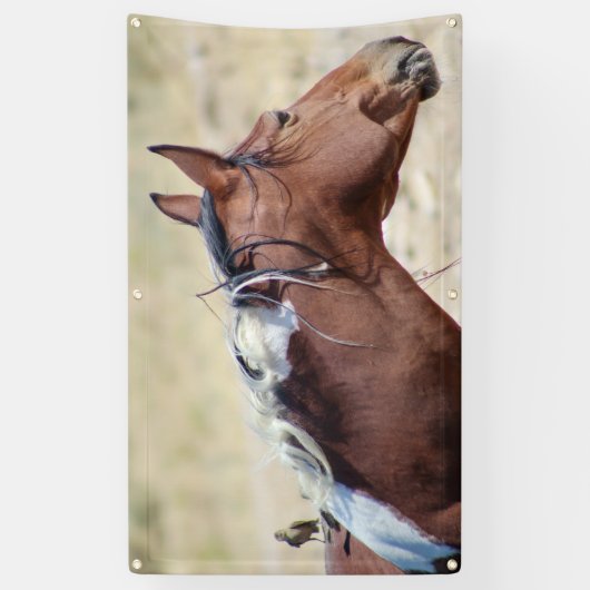 WILD PINTO MIT BIRD BANNER MIT GROMMET (Vertikal)