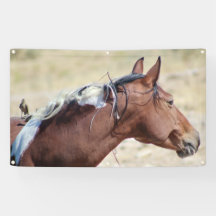 WILD PINTO MIT BIRD BANNER MIT GROMMET