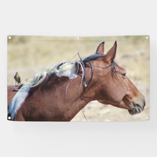 WILD PINTO MIT BIRD BANNER MIT GROMMET (Horizontal)