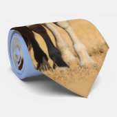 Wild Pinto Pferd Krawatte (Gerollt)