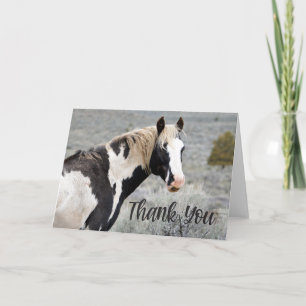 Wild Pinto Stallion Foto Dankeschön Card Dankeskarte